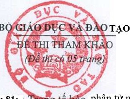 Ảnh đại diện